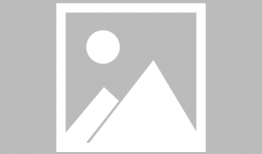 广州黄埔爆料案件最新消息,案情进展与调查进展披露